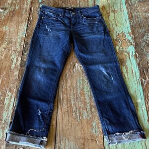 Express Dark Blue Ankle Jeans